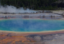 Naturen i 12 Vestamerikanske nationalparker. Yellowstone, USA. Foredrag hos BFN, Biologisk Forening for Nordvestjylland. Foto: Jørgen Nordkvist