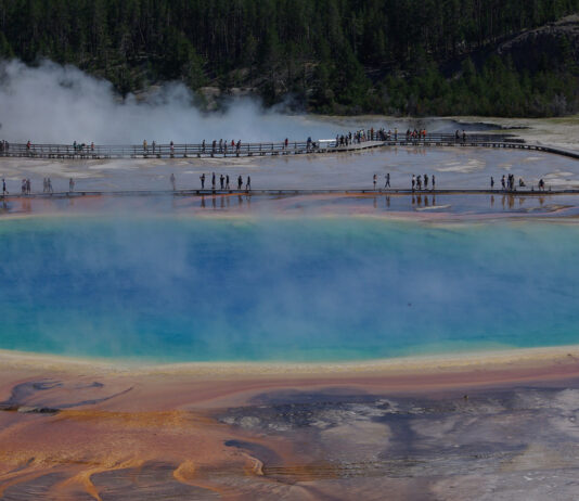 Naturen i 12 Vestamerikanske nationalparker. Yellowstone, USA. Foredrag hos BFN, Biologisk Forening for Nordvestjylland. Foto: Jørgen Nordkvist
