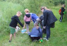 Sæsonstart for Naturklubben for børn BFN's Naturklub for børn er på krible krabletur