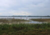 Naturklubben tager på fisketur til Førby Sø BFN på fisketur ved Førby Sø i 2025. Foto Poul Nystrup