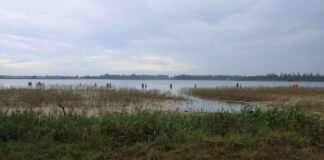 Naturklubben tager på fisketur til Førby Sø BFN på fisketur ved Førby Sø i 2025. Foto Poul Nystrup