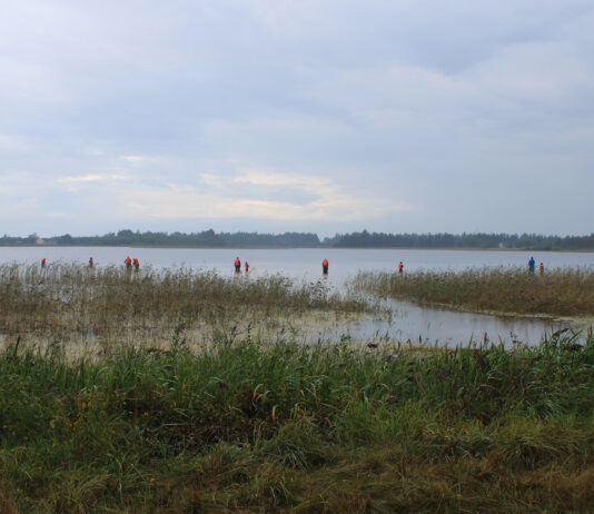 Naturklubben tager på fisketur til Førby Sø BFN på fisketur ved Førby Sø i 2025. Foto Poul Nystrup